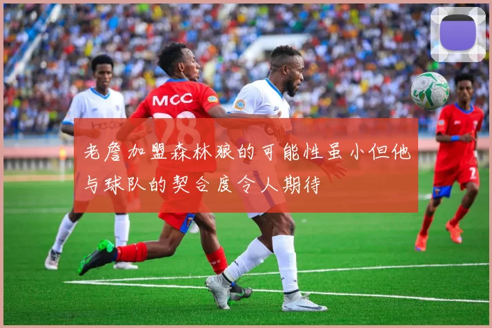 老詹加盟森林狼的可能性虽小但他与球队的契合度令人期待